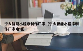 江西宁乡智能小程序制作厂家（宁乡智能小程序制作厂家电话）